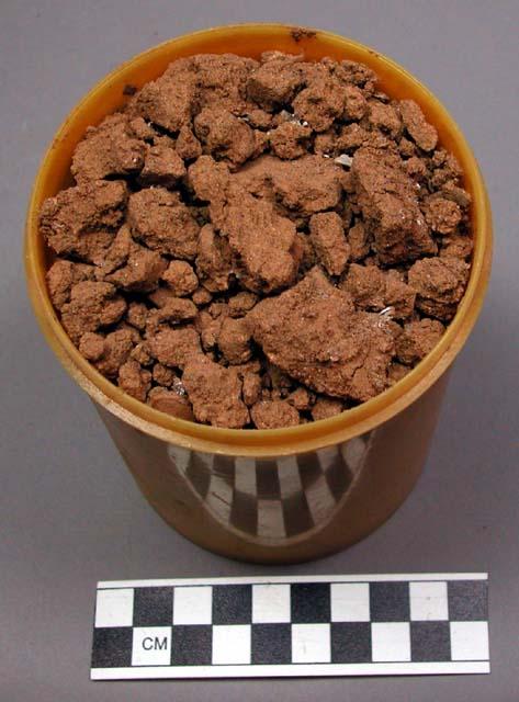 Soil sample in plastic canister, crumbly, unknown substance at pieces near top