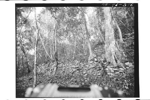 Terrace wall of north acropolis substructure near NE corner. Terrace wlls are ro