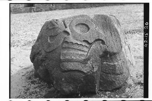 Small boulder with death's head carved in low relief. Snake issues from nose