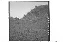 Panorama of east side of mound above basal platform, from about center of east s