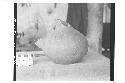 Spouted Pottery Jar with Broken Neck and Spout