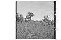 Mounds 2-5 from top of Mound 7 looking north. B is due north