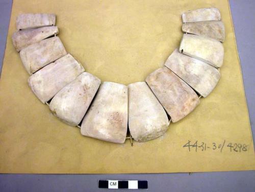 Shell gorget