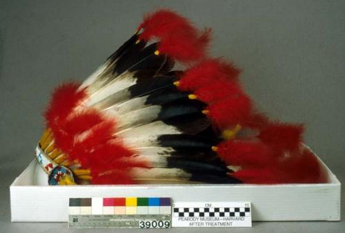 Beaded leather banded feathered headdress - tipped with red feathers