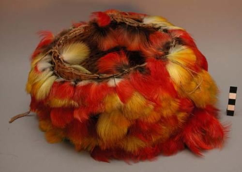 Toucan feather headdress - basketry foundation with strings of +