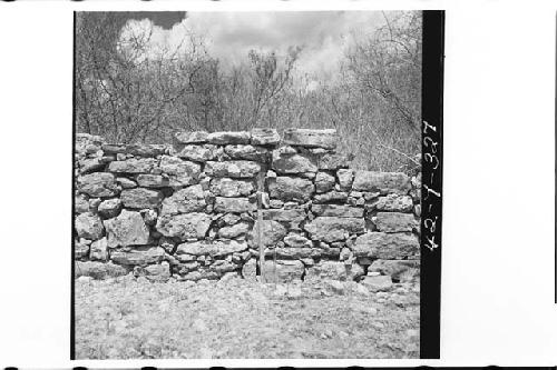 Modern Field Wall