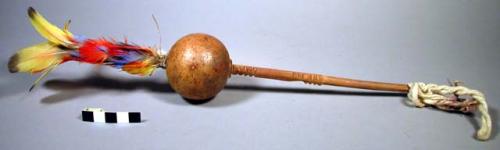 Gourd rattles