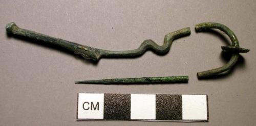 Fibula, serpentine