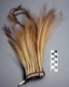 Headdress, standing feathers bound to wrapped fiber ring, human hair braid, woven ties