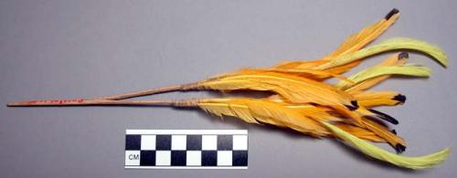 Head ornament of cockatoo and bird of paradise feathers