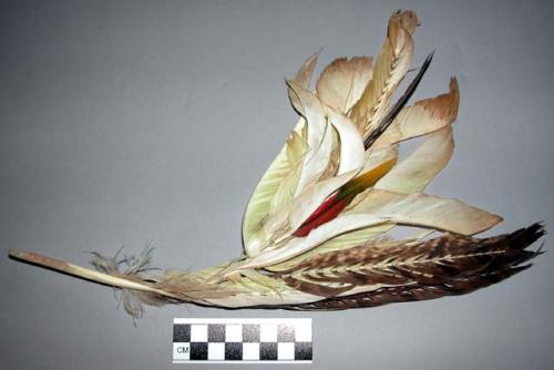 Feather head ornament - used as decoration for dances