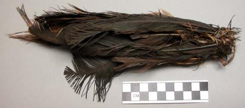 Headdress, brown feathers bound with vegetable fiber, bundled