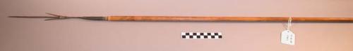 Arrow with iron point for fishing (The iron comes from Indian tribes in northern