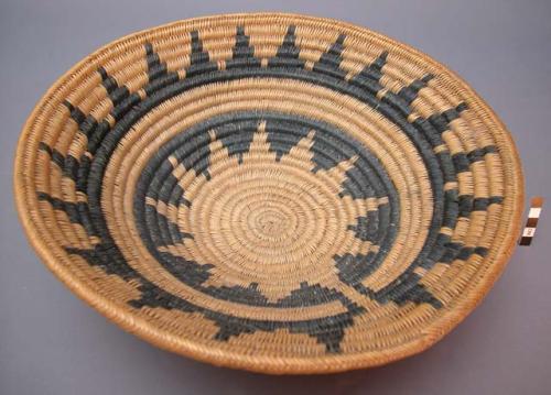 Coiled wedding basket, probably made by a Paiute.