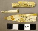 Fragments of bone awl