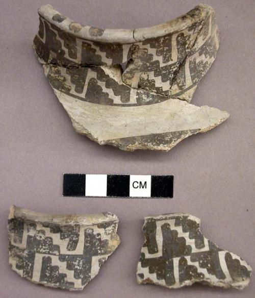 sherd