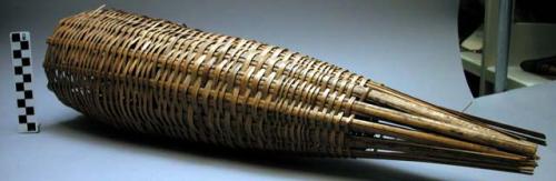 Long funnel type reed fish trap
