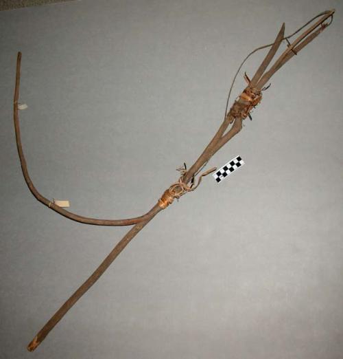 Bird snare, forked stick tied to bow-like piece of wood, ndeti