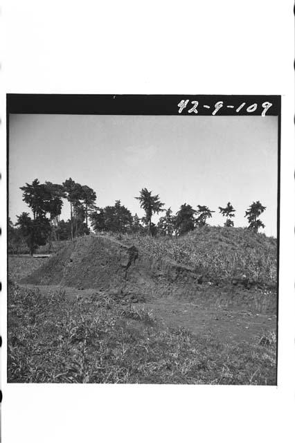 Section of west end of ballcourt cut by modern road