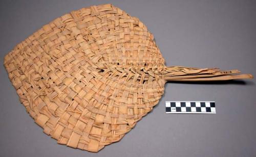 Fan, palm leaf