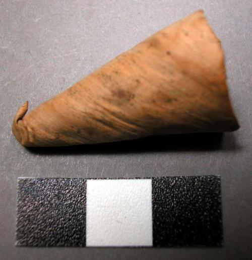 Stopper fragment, conical leaf, hollow interior