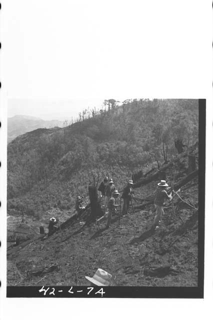 Communal planting of new milpa