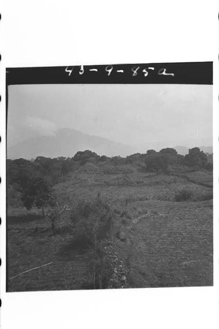 Panaromic ruins from Md. "a" of S. group looking N.