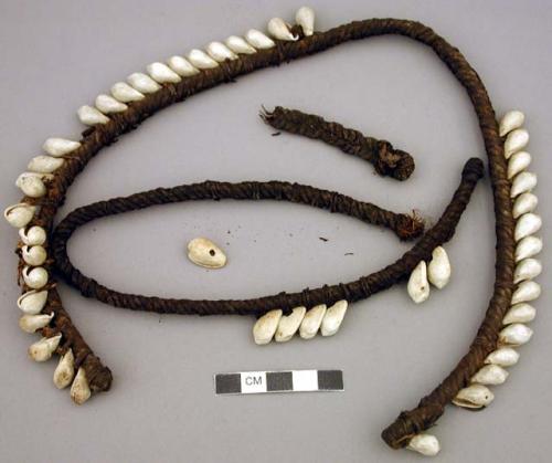 Collar, shell