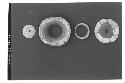 Composite ear plug-unassembled A-1-214- in four parts. D. of Flange 5.5 x 5.1 cm