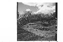 General panorama of north side of Mound at end of 1942-43 season.