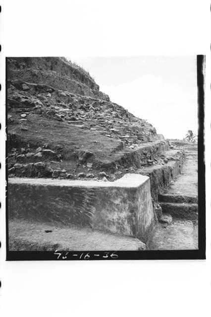 NE corner, lowest remaining terrace of central mound.  Looking W.