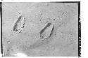 Footprints