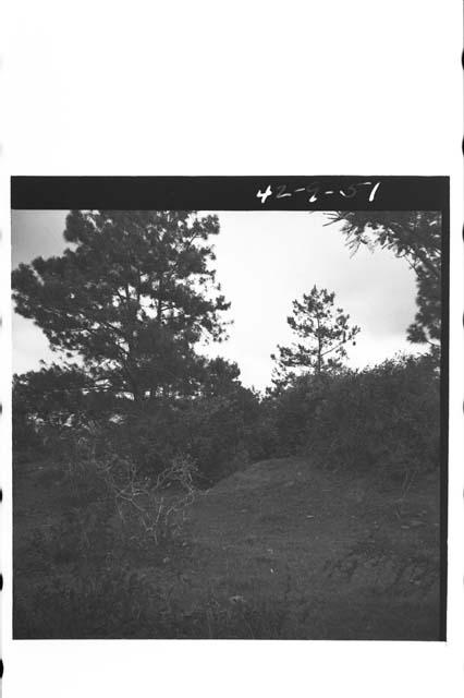 Mounds 3 and 4 looking southwest at Los Cimientos