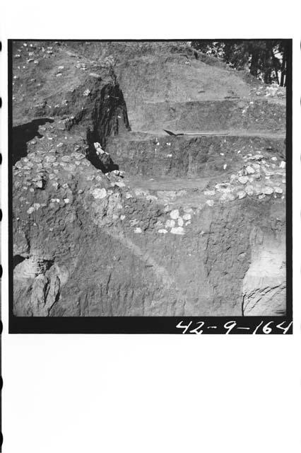 Mound B; South side; Structure D. Section of pit burial below pumice stones