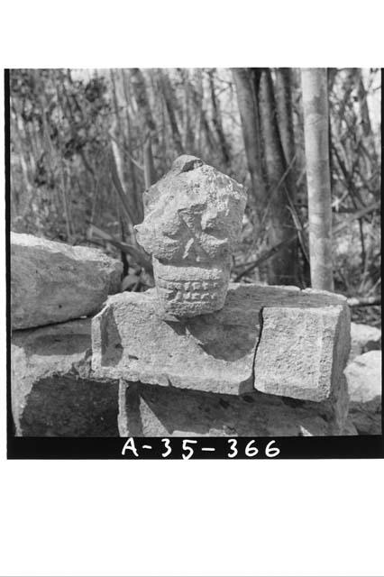 Str. 1A1 (N. ridge bldg), Story II, skull from S. side of stairs (6x6)