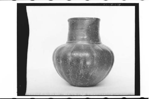 Plumbate standard jar, gadrooned