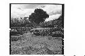 General panorama of north side of Mound at end of 1942-43 season.