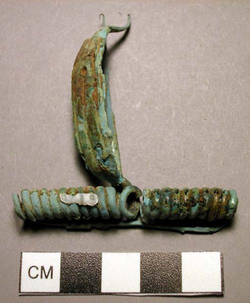 Fibula