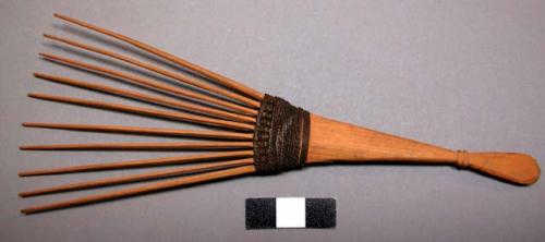 Comb made from section of cane