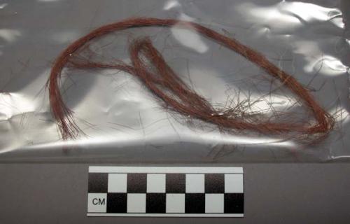 Fiber, fine brown strands, brittle