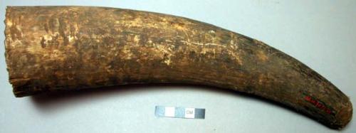 Cow's horn for storage ("ihembi")