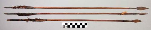 Three arrows of dark bamboo shafts and leaf shaped metal points