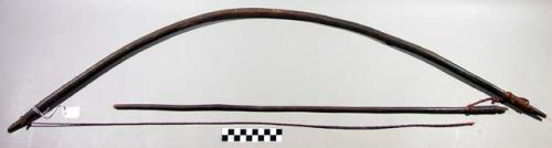 Wood bow with arrow, plied bast bow string, iron tip on arrow.  Length of  bow 3