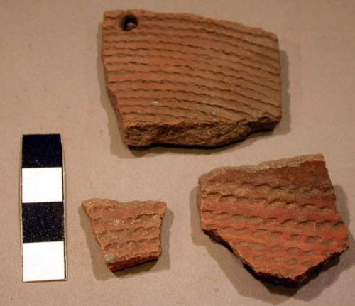 Sherds, cord marked - 1 with drill hole