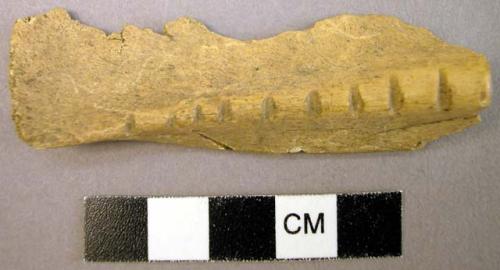 Notched bone fragment