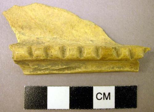 Notched bone fragment