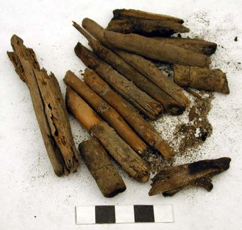 Organic, floral remains, wood stick fragments