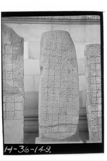 Stela "H", Pusilha, British-Honduras