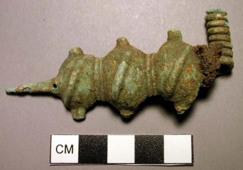 Fibula, nut