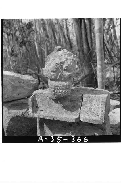 Sculptured skull from South side of stairs, Structure 1A1